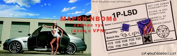дживик Вязники