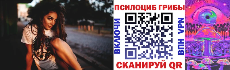 Псилоцибиновые грибы ЛСД  где продают наркотики  Гаджиево 